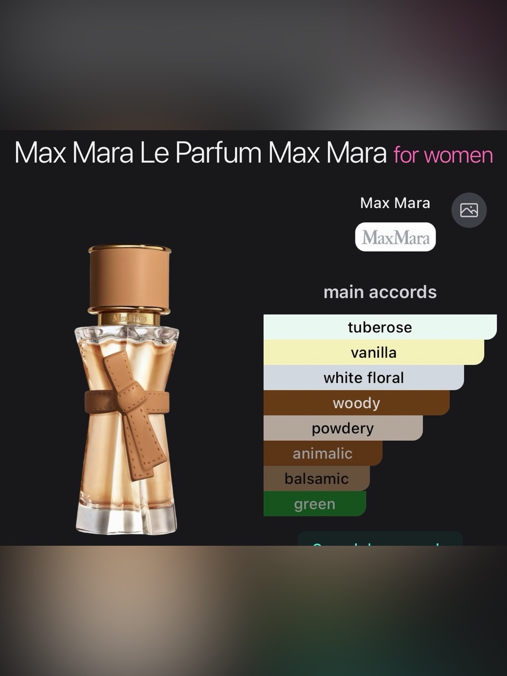 NWT Max Mara
